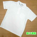 子供 学童 ポロシャツ ベトベトしない 吸汗 速乾 半袖 学校に 白120cm 130cm 140cm 150cm 160cm