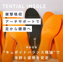 【TENTIAL公式】楽天ランキング1位獲得 TENTIAL INSOLE（テン