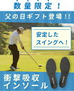 【楽天ランキング1位獲得!】TENTIAL INSOLE(テ
