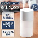 超音波 卓上加湿器 ミニ加湿器 2吹出口 軽量 静音 USB充電式 透明タンク 270ml 乾燥対策 持ち運び 自宅 オフィス 車載 xr-k138