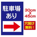 yVʊŔzv[gŔyԏꂠz30cm*45cm ԏ꒍ӊŔ A~ car208