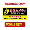 【天通看板】防犯カメラ作動中 40cm*20cm 屋外用 屋外対応 表札 案内板 オリジナル看板 平看板 パネル サイン 耐水 高耐久性 アルミ複..