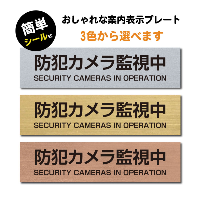 【天通看板】(防犯カメラ監視中 マーク付)ステンレス調 アク