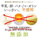 【訳あり 在庫処分！賞味期限最短4月16日まで】までおからクッキー お豆腐屋さんの豆乳おからクッキー ココア & 紅茶 8枚入り×1袋 バター マーガリン 卵 牛乳 不使用 保存料 香料 無添加 ダイエット ギフト プレゼント スイーツ 砂糖不使用 十二堂 3