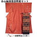 【ポイント10倍! 11/1-3】 着物セット 白山紬 洒落訪問着・名古屋帯 2点 セット 枝葉模様 赤茶色系 紬 Mサイズ 【送料無料 紬 中古 紬 付下げ tsumugi 紬 着物 リサイクル着物 紬 白山 正絹 着物 帯 手描き 紬 】