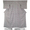 夏物 小紋 絽 少難有品 唐花模様 夏 着物 夏物 裄長・Mサイズ 【中古 小紋 リサイクル 単衣 夏 リサイクル着物 小紋 中古 リサイクル小紋 コモン 正絹 仕立て上がり 】