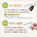 teo-shop:10000100のサンプル画像3