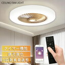 【夏の節電応援★】【レビュー特典付】シーリングファンライト dcモーター 超軽量 LED シーリングファン 8畳 10畳 調光調色 シーリングライト おしゃれ ...