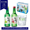 ギフト チャミスル 飲み比べセット 2種 360ml ×2本　ビッグショットグラス セット 送料無料 韓国焼酎 フレーバーリキュール チャミスルハジメルシリーズ グラス付き