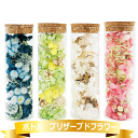プリザーブドフラワー ボトル ギフト 花 インテリア 雑貨 ガラスボトル フラワーアレンジ プレゼント(4)