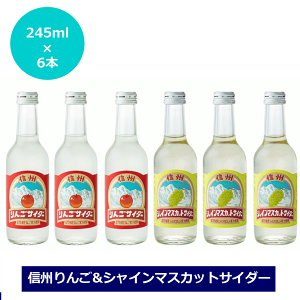 信州サイダー 2種セット りんごサイダー シャインマスカットサイダー 245ml×6本 お土産 長野県 サイダー 甘さ控えめ 微炭酸 ジュース 炭酸飲料 フルーツジュース ぶどうサイダー アップルサイダー 6本セット NAGANO