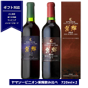 ワイン 飲み比べ 2本セット ヤマソービニオン 紫輝 720ml 紫輝樽熟成 2022 720ml 本坊酒造 マルス信州蒸溜所 ワイン NAGANO しき 本坊酒造 ギフト包装 送料無料