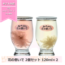 ギフト 五一ワイン 花の想いで ロゼ 白 2個セット 120ml×2 カップワイン 桜入り 春限定ギフト お祝い 母の日 桜ワイン お花見 御祝 お酒 お花 花びらワイン ミックスセット