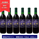 信州 みやだワイン 紫輝 SHIKI 720ml 6本 長野県産 ワイン 赤ワイン 信州マルスワイン 本坊酒造 信州みやだワイン 紫輝しき マルス信州蒸溜所 ヤマソービニオン NAGANO