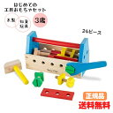 ★［SS期間11日2時まで PT2倍］ 正規品 メリッサ&ダグ(Melissa&Doug) 木製おもちゃ はじめての工具おもちゃセット 3歳 24ピース 494【北海道・沖縄・離島配送不可】