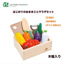 ●正規品 ウッディプッディ はじめてのおままごと サラダセット G05-1211 WOODYPUDDY おままごとキッチン 木のおままごと 木のままごと 食材 マグネット 子供 出産祝い 木製 磁石 知育玩具 幼児 プレゼント