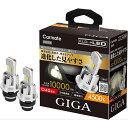 ● カーメイト GIGA HID D4S 用 LED ヘッドバルブD10シリーズ 4500K BW906 CARMATE