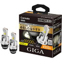 ● カーメイト GIGA HID D2S 用 LED ヘッドバルブD10シリーズ 4500K BW905 CARMATE