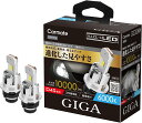 ● カーメイト GIGA HID D4S 用 LED ヘッドバルブD10シリーズ 6000K BW904 Carmate