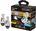 ● カーメイト GIGA HID D2S 用 LED ヘッドバルブ D10シリーズ 6000K BW903 Carmate