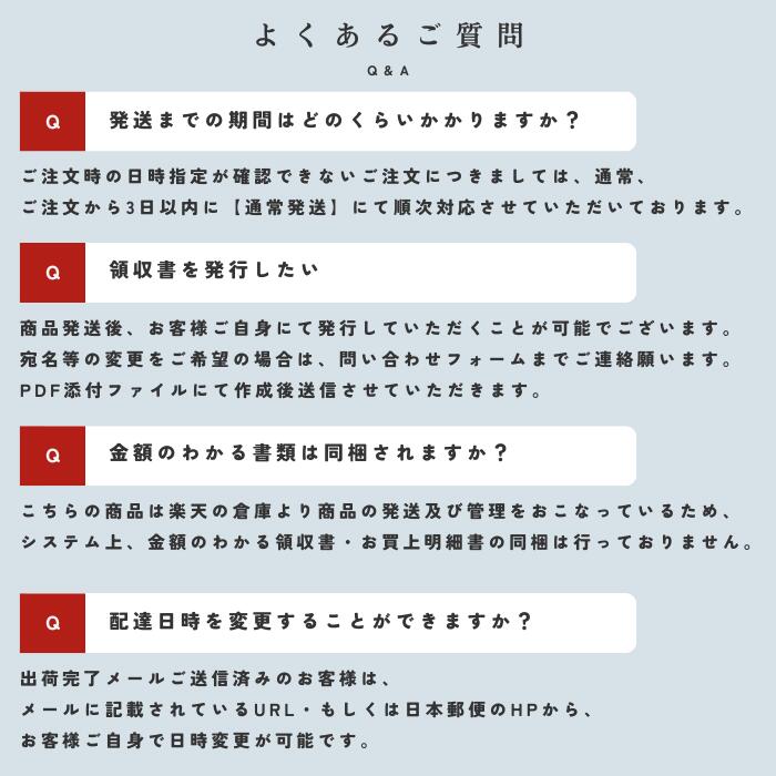 ●レイメイ藤井 システム手帳 Davinci(ダ・ヴィンチ) レイメイ ダヴィンチ スタンダード A5 JDA3003 体調管理 育児 成長 ビジネス 健康 記...