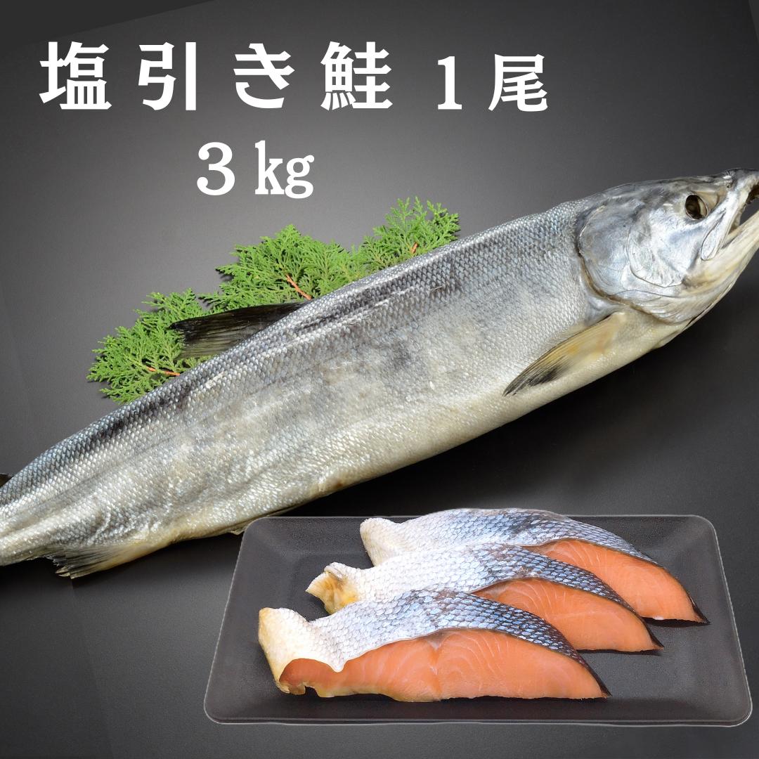 【送料無料】　塩引き鮭　1尾　3kg