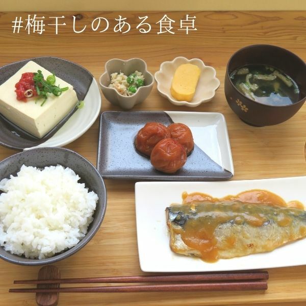 まごころ梅はちみつ味 訳ありつぶれ梅 1kgの...の紹介画像3