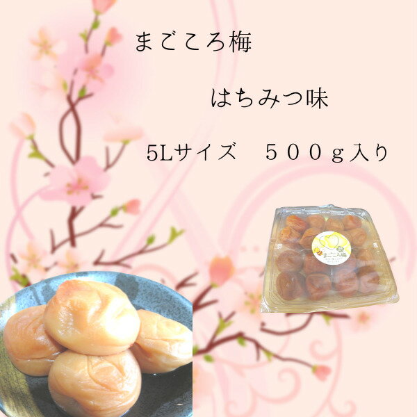 はちみつ味、まごころ梅、500g贈答に5Lサイズ、食べ応え、送った人も送られた方も喜ぶ食べやすさのはちみつ味 梅白湯