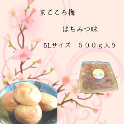 はちみつ味、まごころ梅、500g贈答に5Lサイズ、食べ応え、送った人も送られた方も喜ぶ食べやすさのはちみつ味　梅白湯