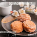 寺本商店 まごころ梅 白干し