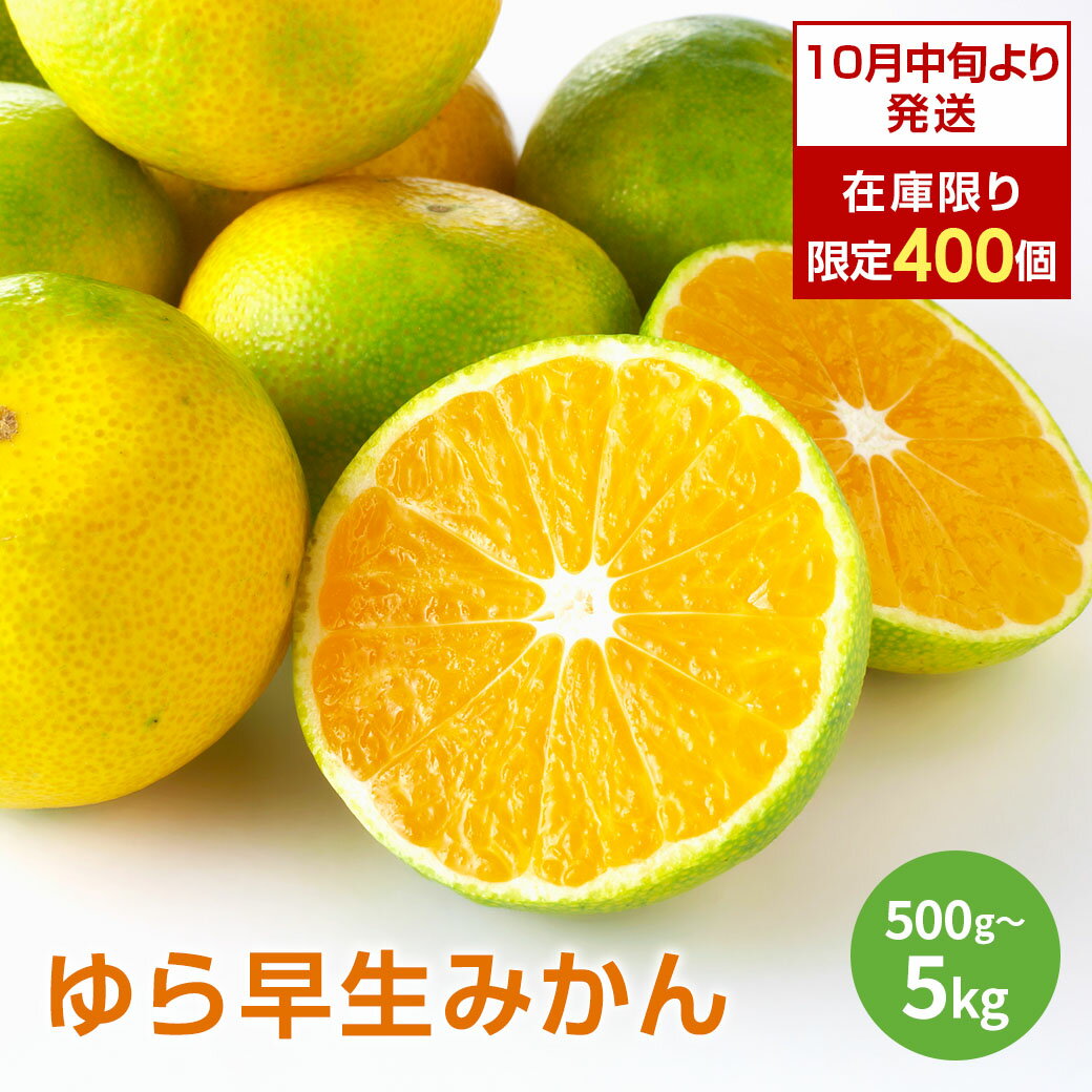 \数量限定 400個/10月中旬より発送開始 ゆら早生みかん みかん 訳あり お試し 6個 / 1kg / 3kg / 5kg 早生 ゆら早生 小粒 小玉 青み...