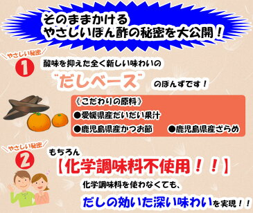 寺岡有機醸造 [化学調味料 無添加]寺岡家のそのままかけるやさしいぽん酢140ml[寺岡家の醤油]老舗 厳選素材 国産 調味料 出汁 だし 醤油だし めんつゆ ぽん酢 ぽんず だし醤油 かけ醤油 煮物 和風