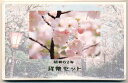 04-21 桜の通り抜け 1987/昭和62年 【寺島コイン】