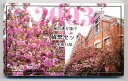 04-159　大阪桜の通り抜け　2003/平成15年　【寺島コイン】