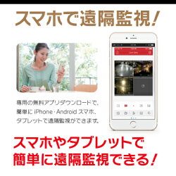 防犯カメラ監視カメラ1台屋外用屋内用から選択防犯カメラセット監視カメラセット4chハードディスクレコーダー/HDD別売HD-TVIFIXレンズ赤外線付きバレット型ドーム型カメラ遠隔監視可