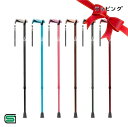 【プレゼント用ラッピング仕様】竹虎 ヒューゴステッキ 伸縮杖 おしゃれ 杖 一本杖 104750/51/52/53/54/56