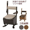 パナソニック エイジフリー 家具調トイレ 座楽 ひじ掛けはねあげ ソフト便座タイプ PN-L23407(4)