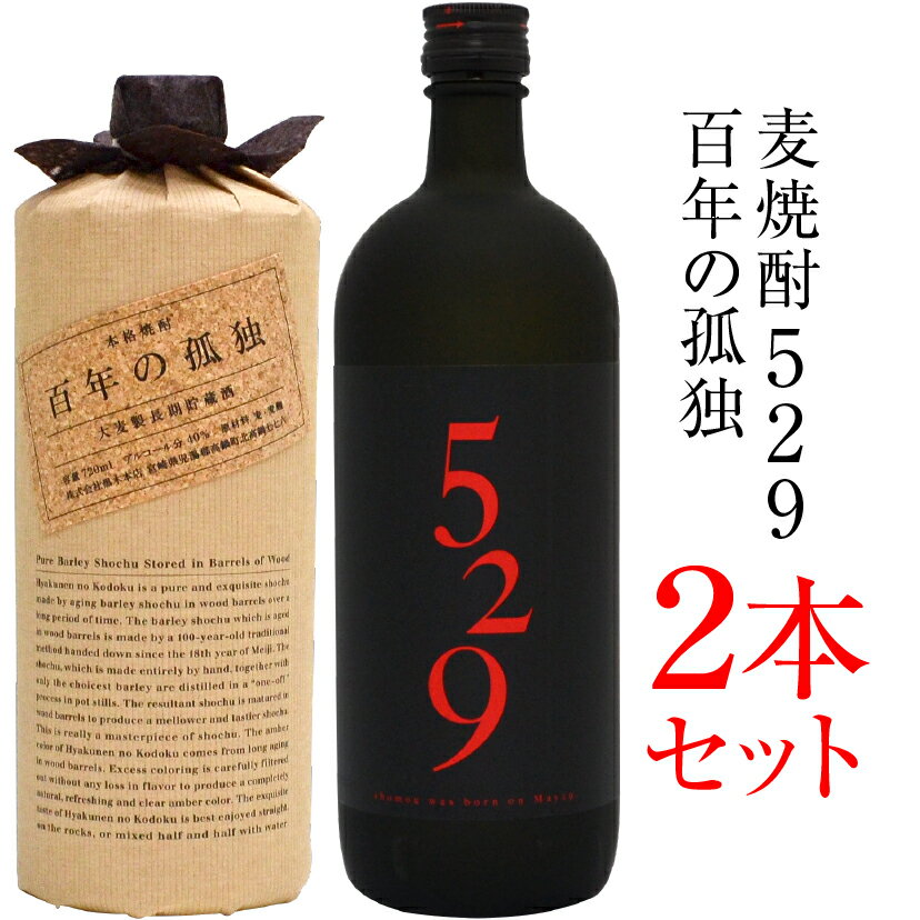 父の日ギフト 実用的 麦焼酎ギフトセット 百年の孤独 ＆ 麦焼酎529 720ml ギフトBOX入 【誕生日プレゼント 内祝 お供】◆送料無料、あす楽対応