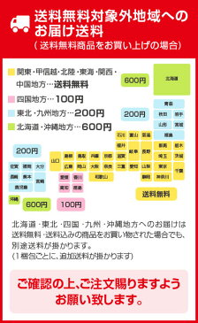 父の日 ビール 父の日ギフト ザ・プレミアム・モルツ、金麦、CCレモン等の清涼飲料水　ファミリー向け サントリー ビール＆ジュース 18本詰め合わせギフトセット [御祝 誕生日 内祝い] ◆送料無料対象外地域有※