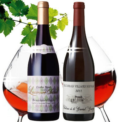 【オマケ付】20％OFF2010年 ボージョレ・ヌーヴォ コンテストで、ワンランク上のヴィラージュ部門に於いて最高金賞を受賞できたのは、コチラの2本だけ！【あす楽】【送料無料・お歳暮にも！】【リッツ＆クラッカー各1個付】プレミアム・ボジョレー・ヌーヴォー 2011★コンクール最高金賞受賞セット唯一無二の特別限定2本セット（各750ml）GRANDE MEDAILLE dORボジョレー ヌーボー【あす楽】