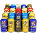 プレミアビール 母の日 プレゼント 国産 プレミアム＆クラフトビールセット ビール ギフト 14種飲み比べ 高級 詰め合わせ20本セット 誕生日 内祝い 御祝 お供え ◆送料無料