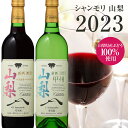 【スーパーセール】【山梨ヌーボー 2023 新酒 2本セット】限定品 シャンモリ 山梨 新酒 2023 国産ぶどう100％ 赤・白 750ml 山梨ヌーヴォー 山梨新酒 甲州 マスカット・ベリーA 日本ワイン 山梨ワイン ヌーヴォー 2023年 国産 紅白セット ◎