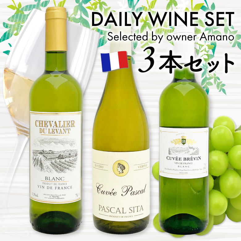厳選 デイリーワイン 【 白 】ワイン 3本セット フランス 白ワイン 飲み比べ お試しセット 送料無料対象外地域有 terazuya-10008540 酒食処 寺津屋 サンプル画像2