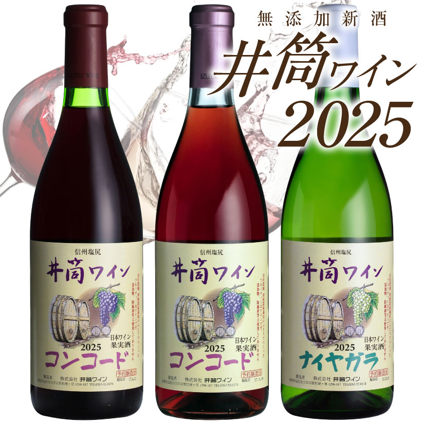 【11/19(水)最終入荷分】井筒ワイン新酒 無添加 3本セット 限定品 井筒ワイン 無添加新酒 2025 コンコ..