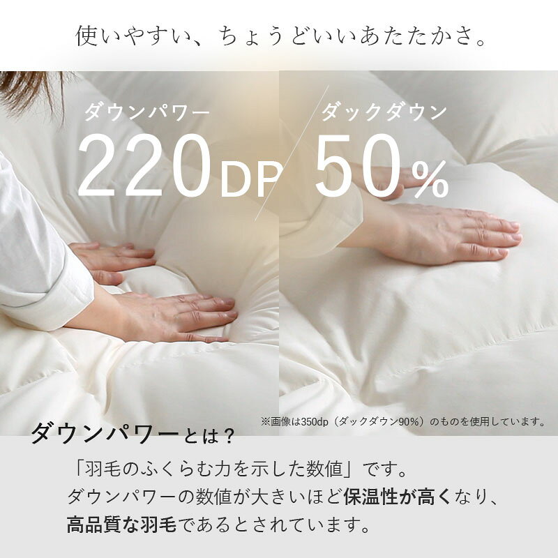 ★3％OFFクーポン★日本製 布団 羽毛布団 シングル S 150 210 ホワイトダックダウン 50% 掛け布団 本掛け ダウンパワー 220 ふとん 冬 掛布団 防ダニ アレルギー 綿 国産 高級 抗菌 防臭 軽量 保温力 おすすめ おしゃれ 北欧 シンプル 寝具 暖かい 冬用 春 通気性 フェザー teria-10018167 Teria(テリア)家具・インテリア サンプル画像3