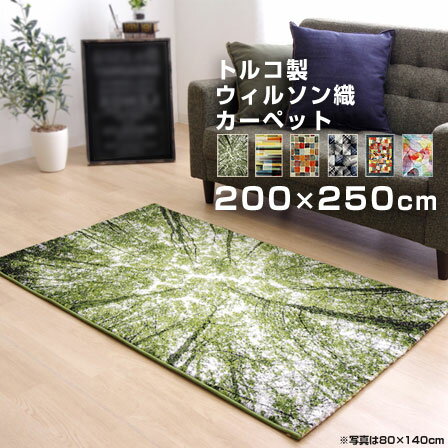 ラグ おしゃれ トルコ製 ラグマット 200×250cm L ウィルトン織 角型 長方形 カーペット ホットカーペット 床暖房対応 抗菌 防臭 かわいい 総柄 起毛 敷きマット マット 玄関マット フロアマット リビング ダイニング 洗面所 ソファ 模様替え 北欧