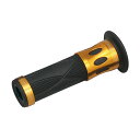 デイトナ(DAYTONA) PRO-GRIP スーパーバイクグリップ#728 (ブラック/ゴールド) エンド貫通 98089