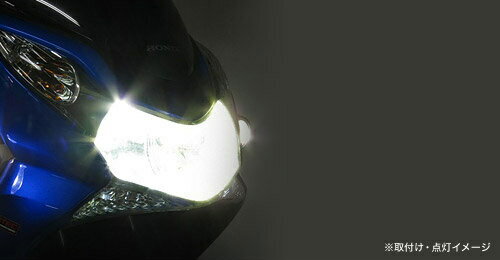 プロテック バイク用 LEDヘッドライトバルブキット LB5-M HS5 6000K 65011