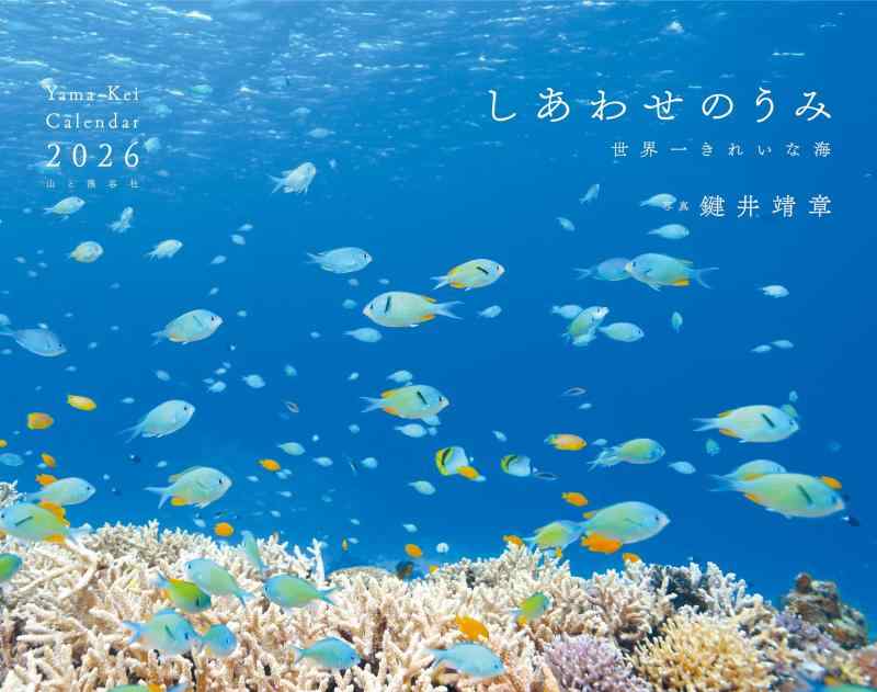 乐天商城 - カレンダー2026 しあわせのうみ 世界一きれいな海（月めくり/壁掛け/海外 国内 沖縄） (ヤマケイカレンダー2026)