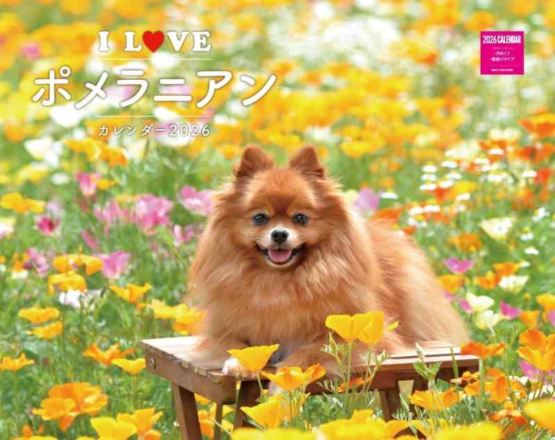 Rakuten - I LOVE ポメラニアンカレンダー 2026（月めくり/壁掛け）(ネコ・パブリッシング) (カレンダー2026) (カレンダーシリーズ)